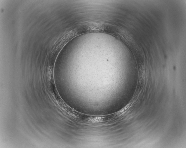 X0000053060078200507251459