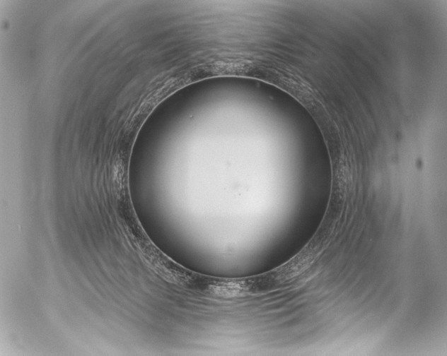 X0000053060079200507251459