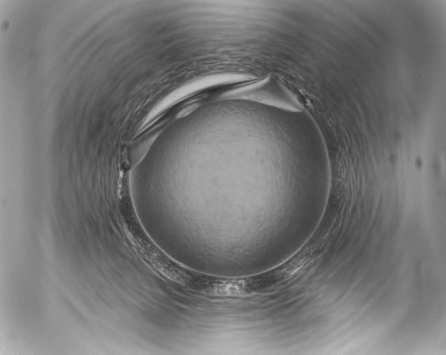 X0000053060080200507251459