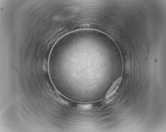 X0000053060081200507251459