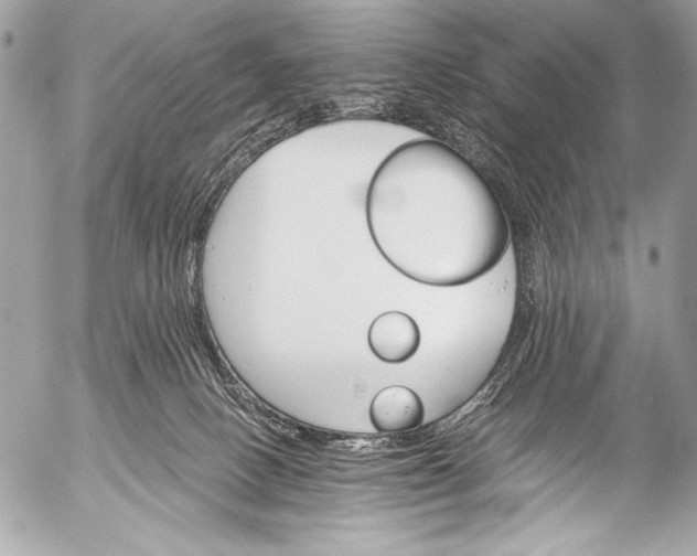 X0000053060082200507251459