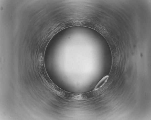 X0000053060083200507251459