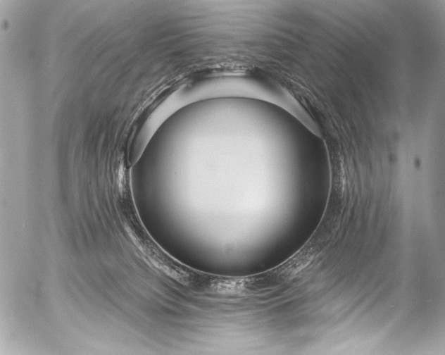 X0000053060084200507251459