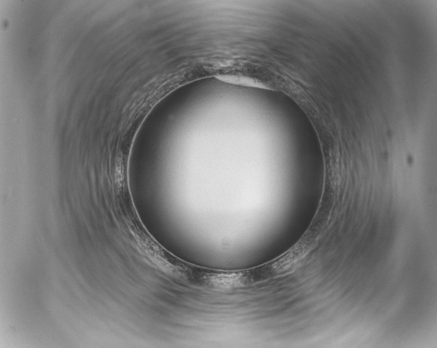 X0000053060085200507251459