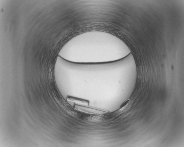 X0000053060086200507251459