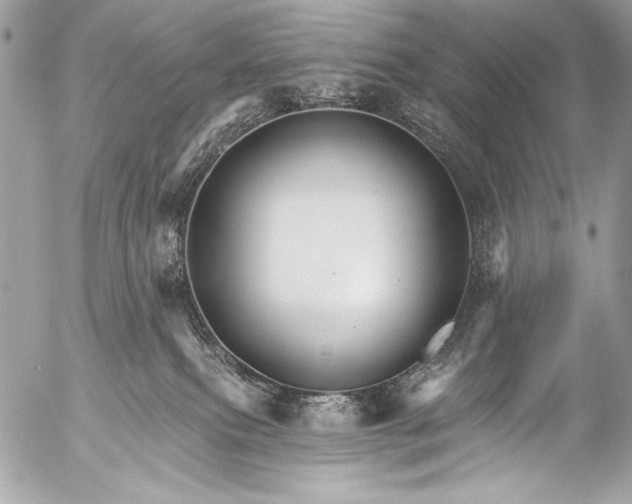 X0000053060087200507251459