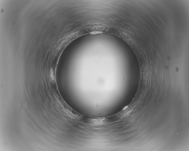 X0000053060089200507251459