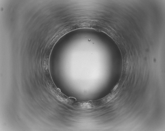 X0000053060091200507251459