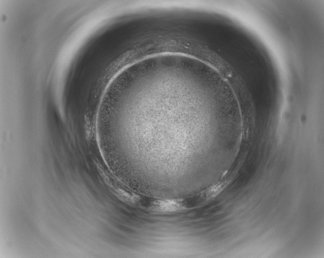 X0000053060093200507251500