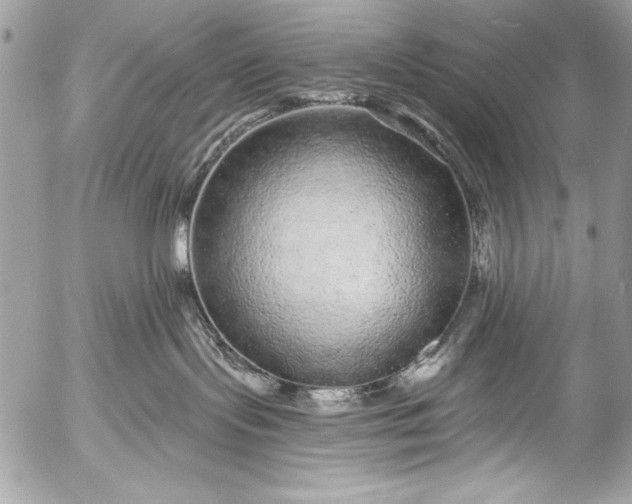 X0000053060095200507251500