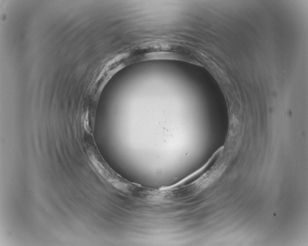 X0000053060096200507251500