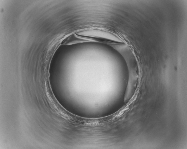 X0000053060097200507251459