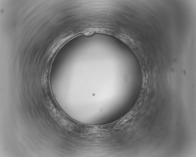 X0000053060098200507251459