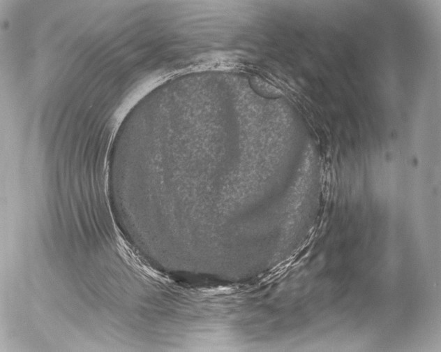 X0000053060100200507251459