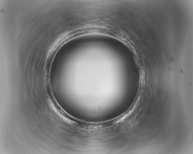 X0000053060101200507251459