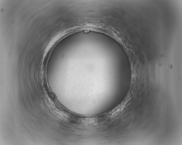 X0000053060102200507251459