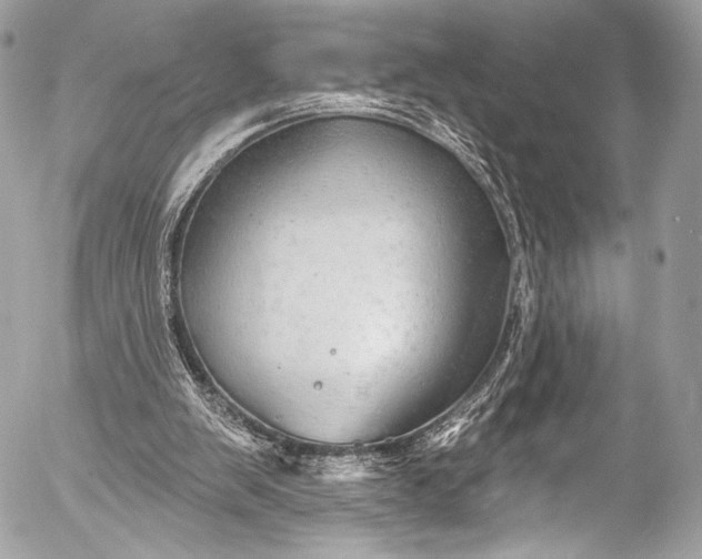 X0000053060103200507251459