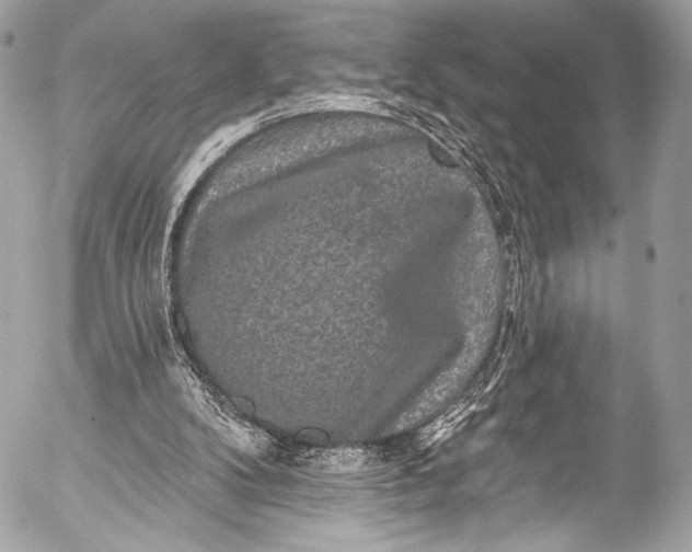 X0000053060104200507251459