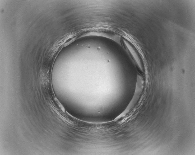 X0000053060105200507251459