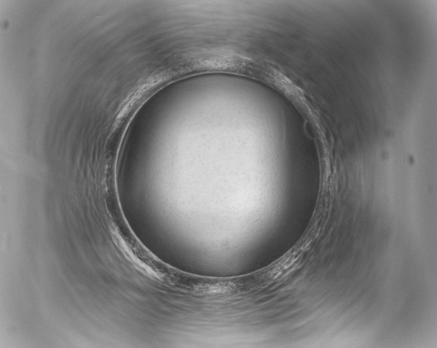 X0000053060106200507251459