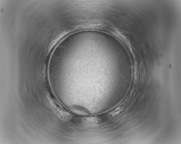 X0000053060107200507251459