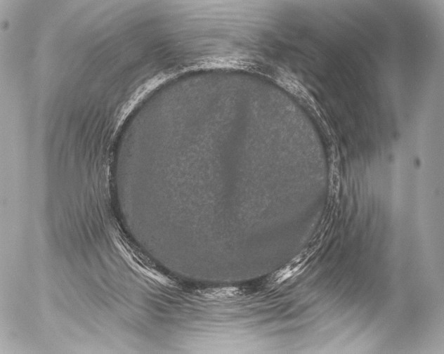 X0000053060108200507251459