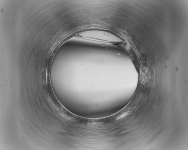 X0000053060109200507251459