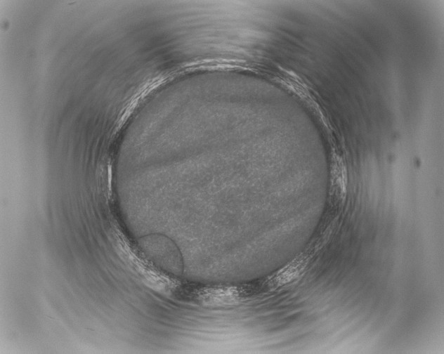 X0000053060110200507251459