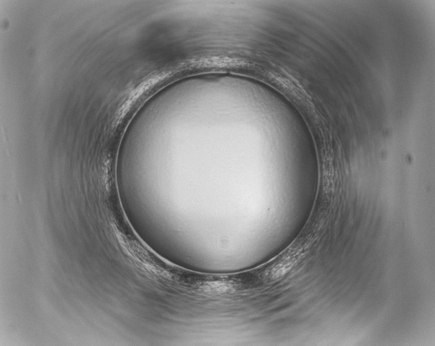 X0000053060111200507251459