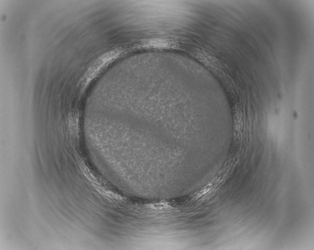 X0000053060112200507251459