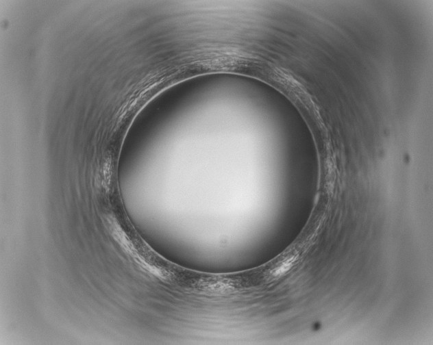 X0000053060113200507251459