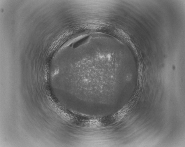 X0000053060114200507251458