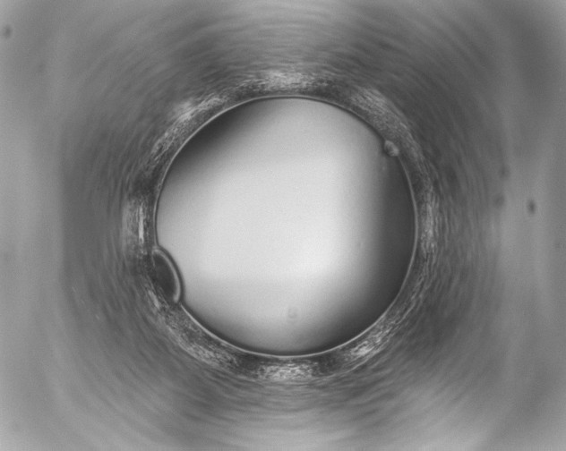 X0000053060115200507251458