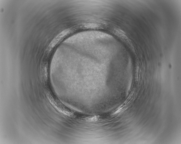 X0000053060116200507251458