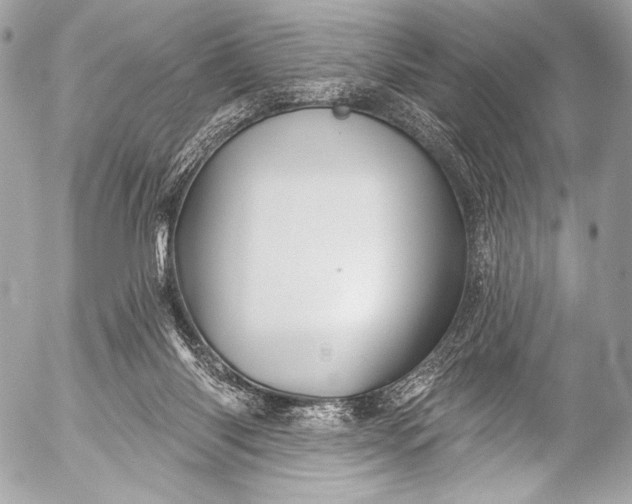 X0000053060118200507251458