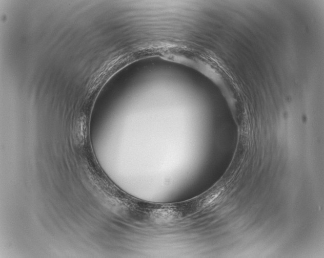 X0000053060119200507251458