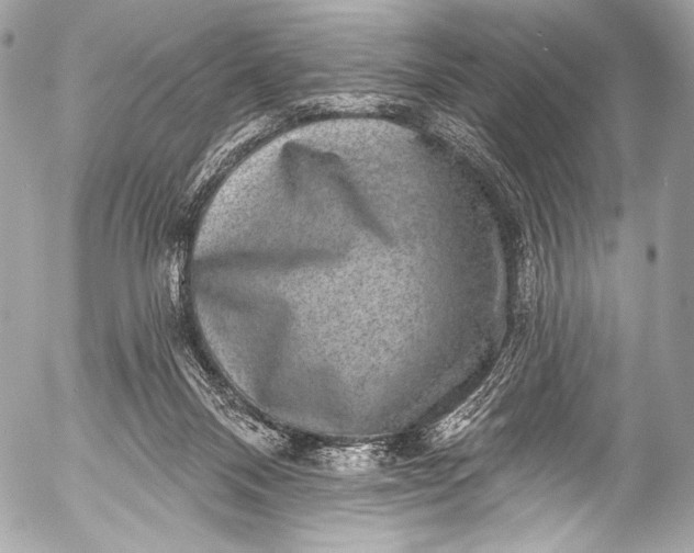 X0000053060120200507251458