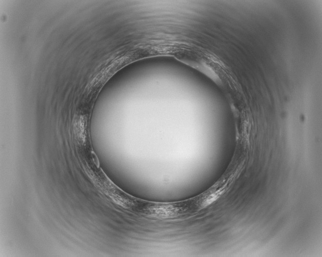 X0000053060121200507251458