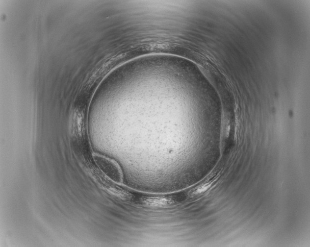 X0000053060123200507251458