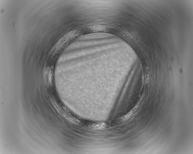 X0000053060124200507251458