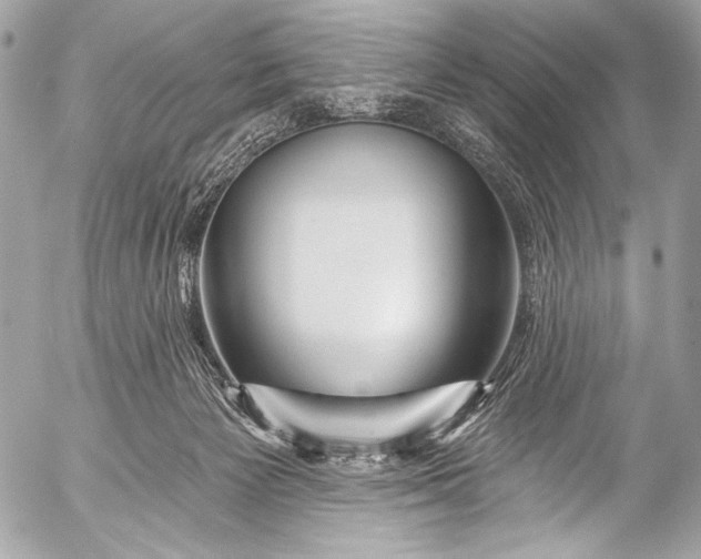 X0000053060125200507251458