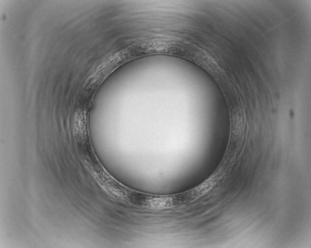 X0000053060126200507251458