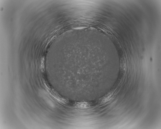 X0000053060127200507251458