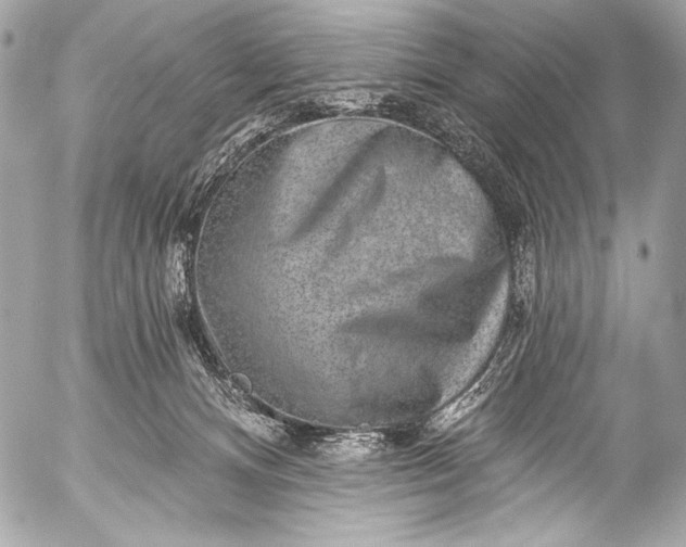 X0000053060128200507251458