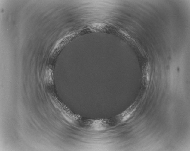 X0000053060130200507251458