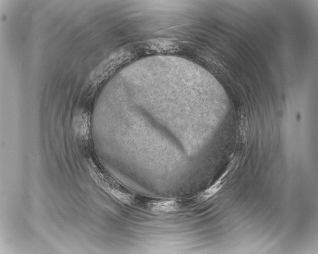 X0000053060132200507251458