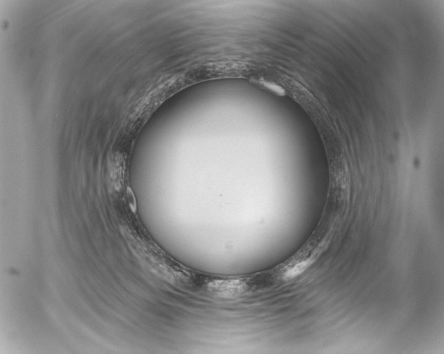 X0000053060133200507251458