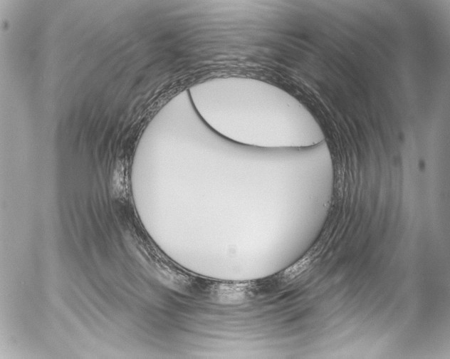 X0000053060134200507251458