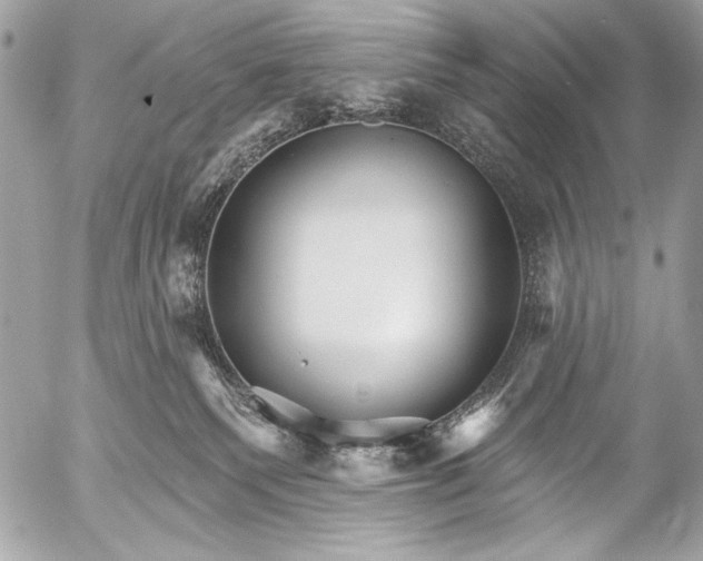 X0000053060135200507251458