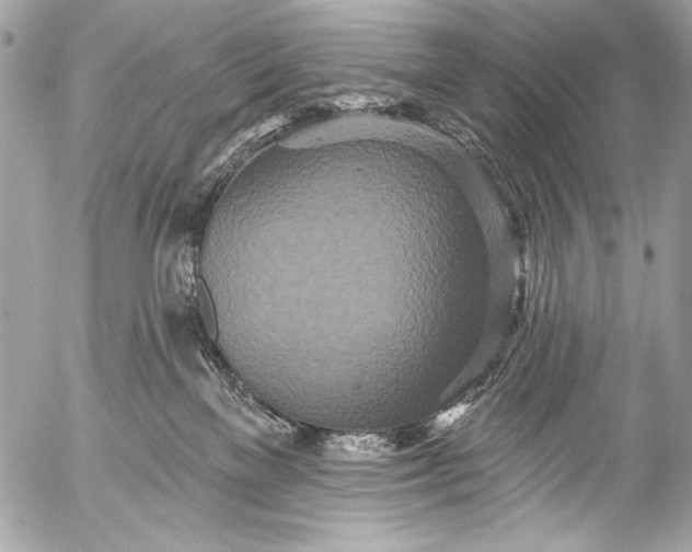 X0000053060137200507251458